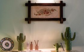 The Cacti House